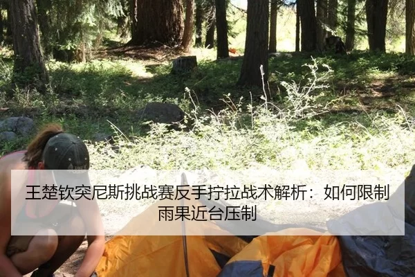王楚钦突尼斯挑战赛反手拧拉战术解析：如何限制雨果近台压制